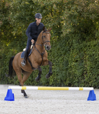 Cavaletti-Block blau o gelb