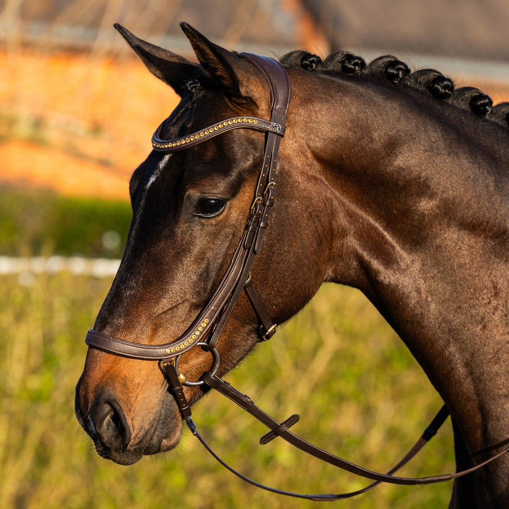 Trense Anatomic Rosé oder Gold