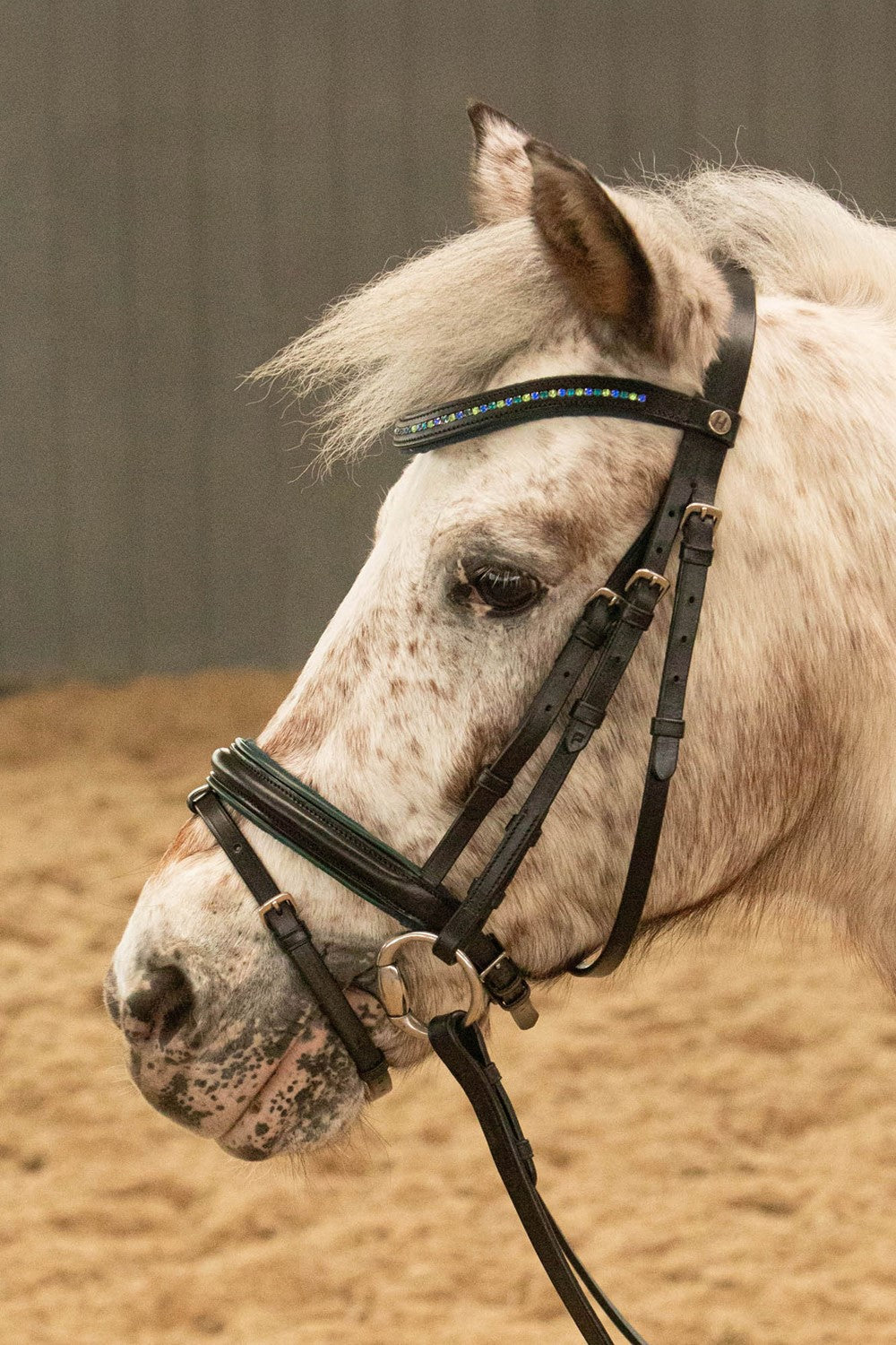 Trense STOUT! Lime Mini-Shetty, Shetty, Pony