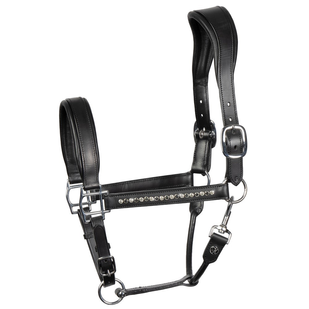 Lederhalfter Anatomic Crystal