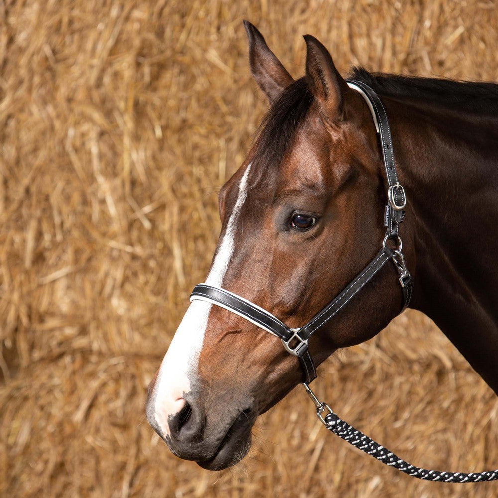 Lederhalfter Elegance - Halfter für Pony, VB, WB