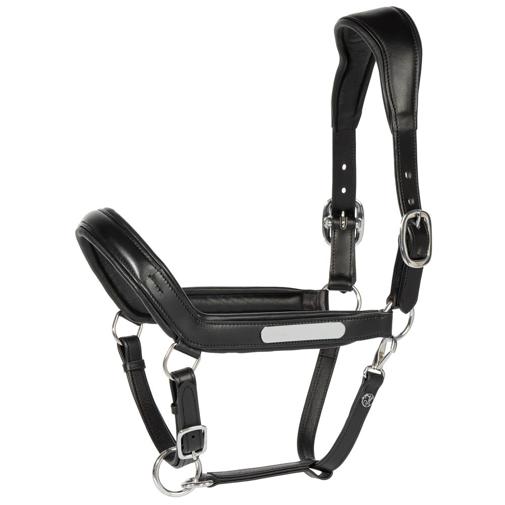 Lederhalfter Anatomic II