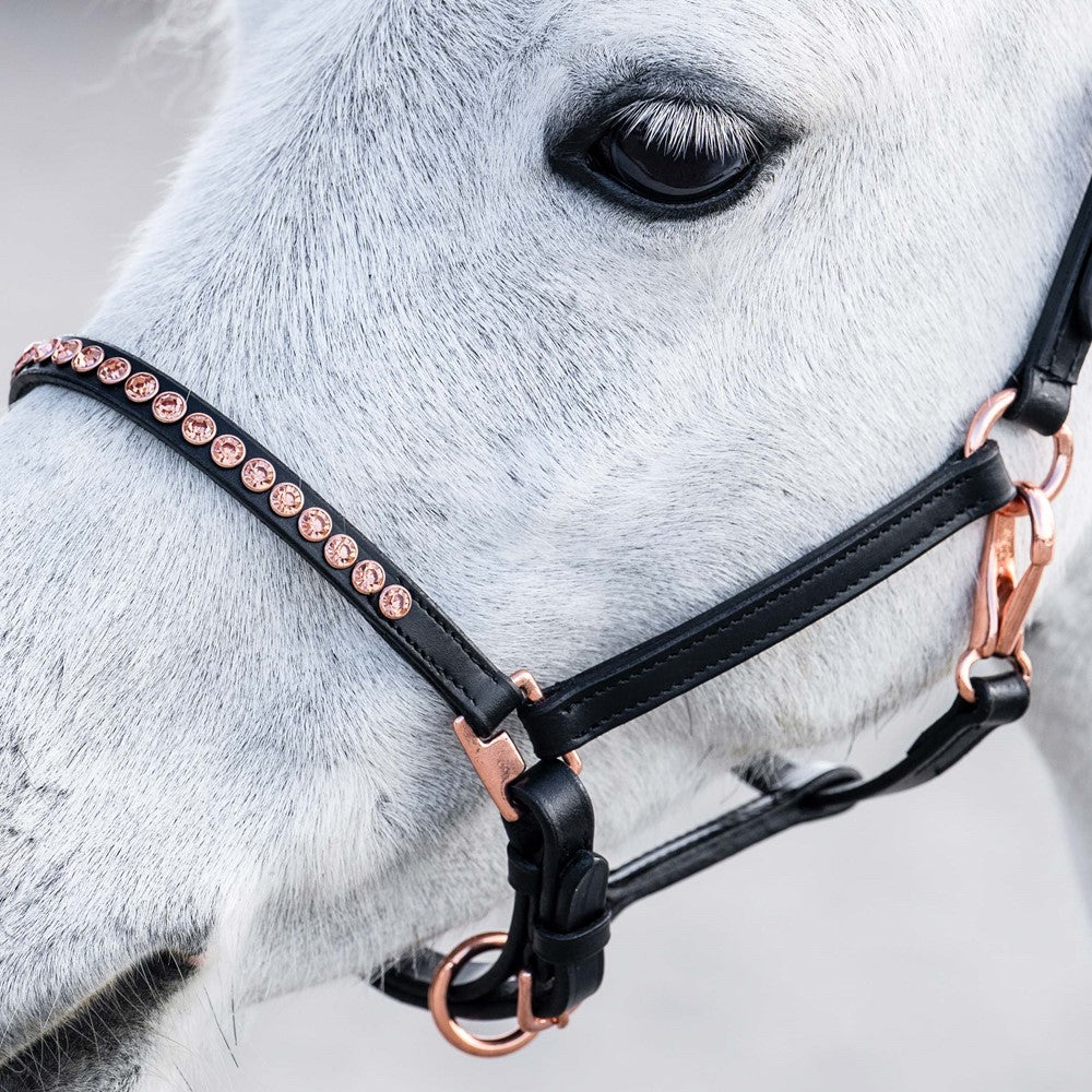 Lederhalfter Pony/Fohlen Crystal Rosegold  Halfter