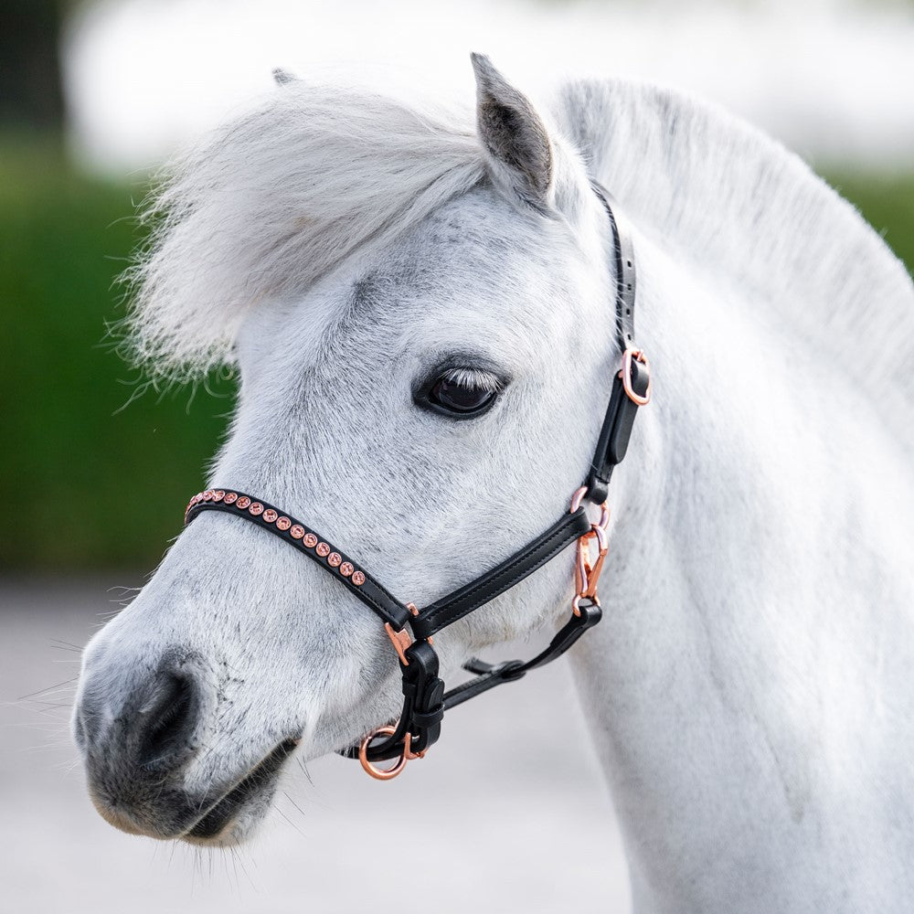 Lederhalfter Pony/Fohlen Crystal Rosegold  Halfter