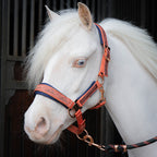 Halfterset LouLou Shetland