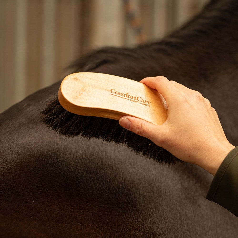 Büste ComfortCare Wood Horse Hair