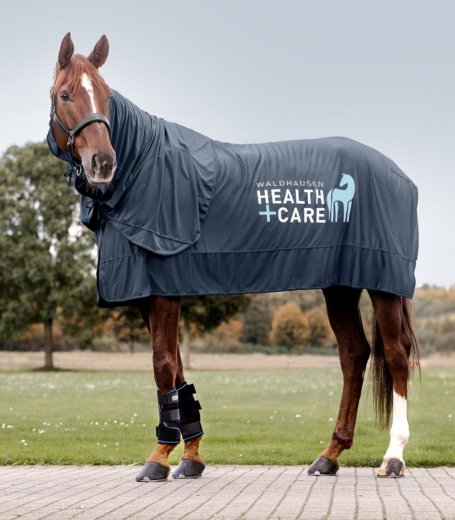 Waldhausen Health + Care Ice-Layer Gamaschen paarweise