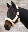 Waldhausen Halfter Coozy