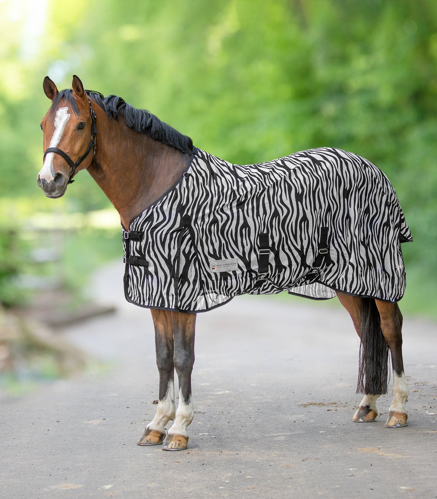 Fliegendecke Zebra von 75cm-165cm