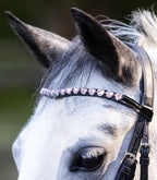 Trense Happy Hearts Minishetty o Shetty o Pony